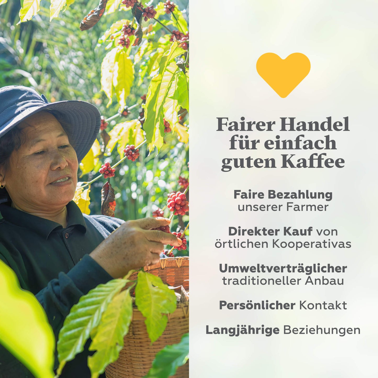 Kaffee Crema Kräftig (im Abo)