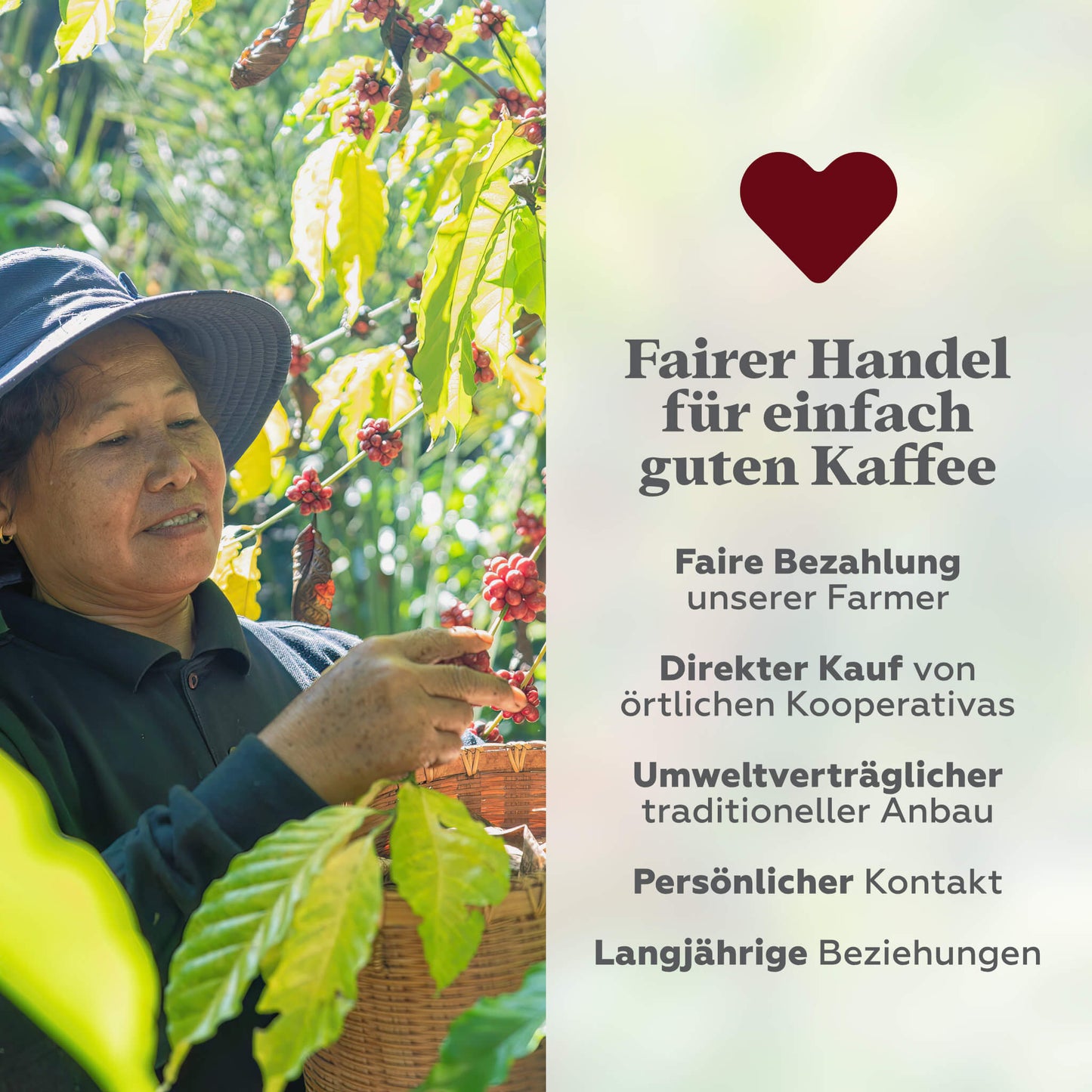 Espresso Kräftig