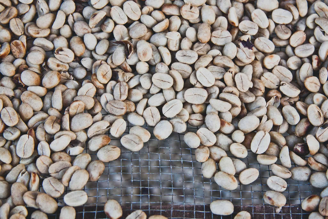 Was ist weißer Kaffee? – MAYOLA® Kaffee